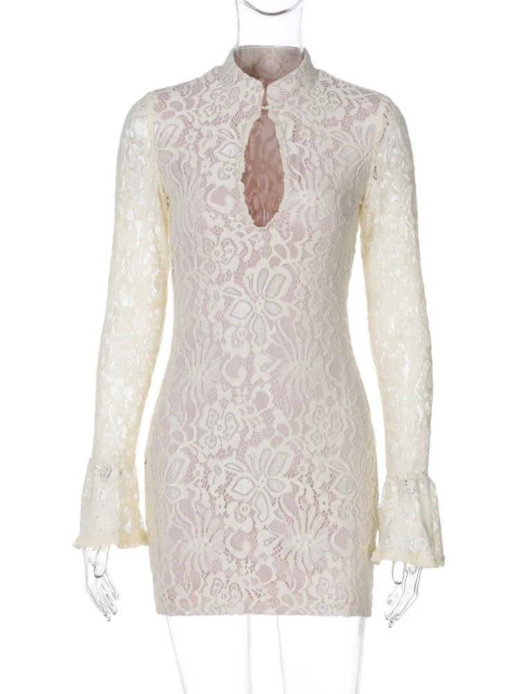 Lace Half High Collar Bodycon
